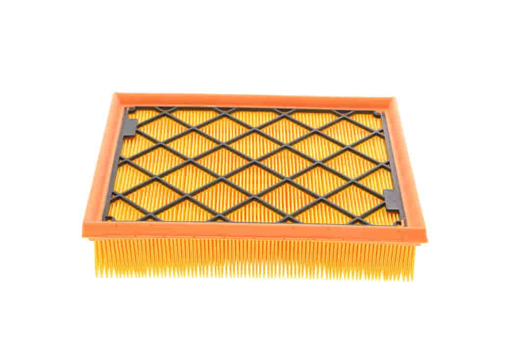 C250081 MANN-FILTER