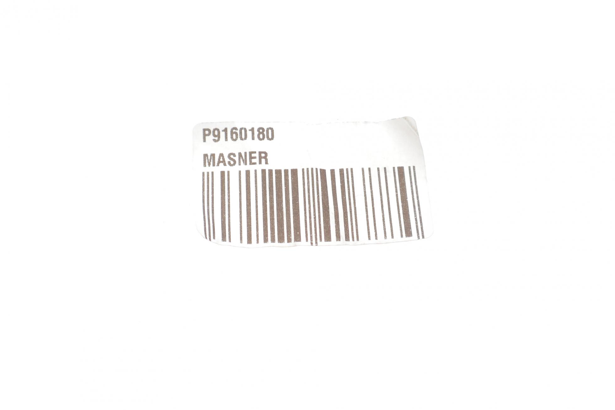 P9160180 MASNER