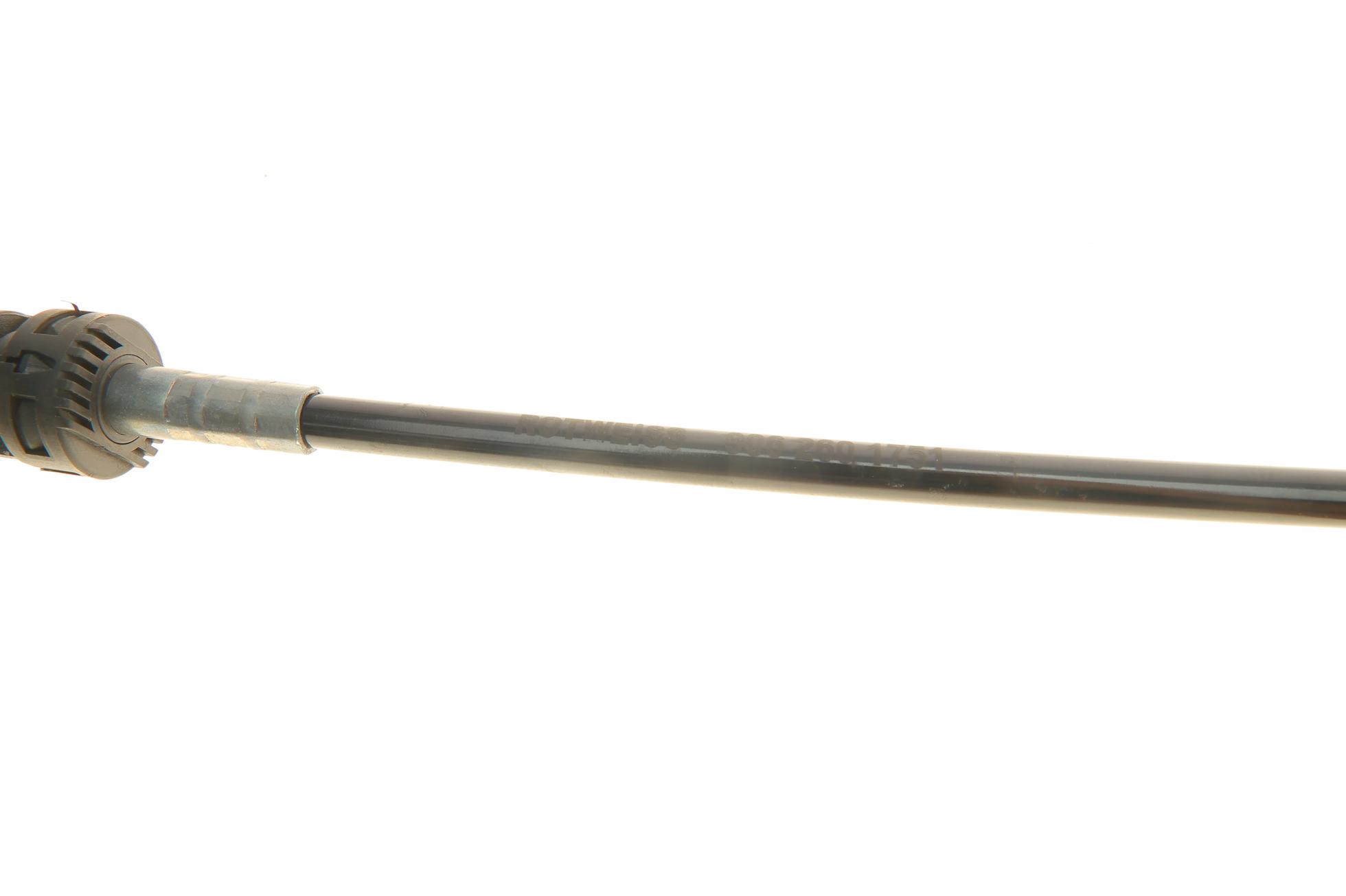 RWS1699 ROTWEISS
