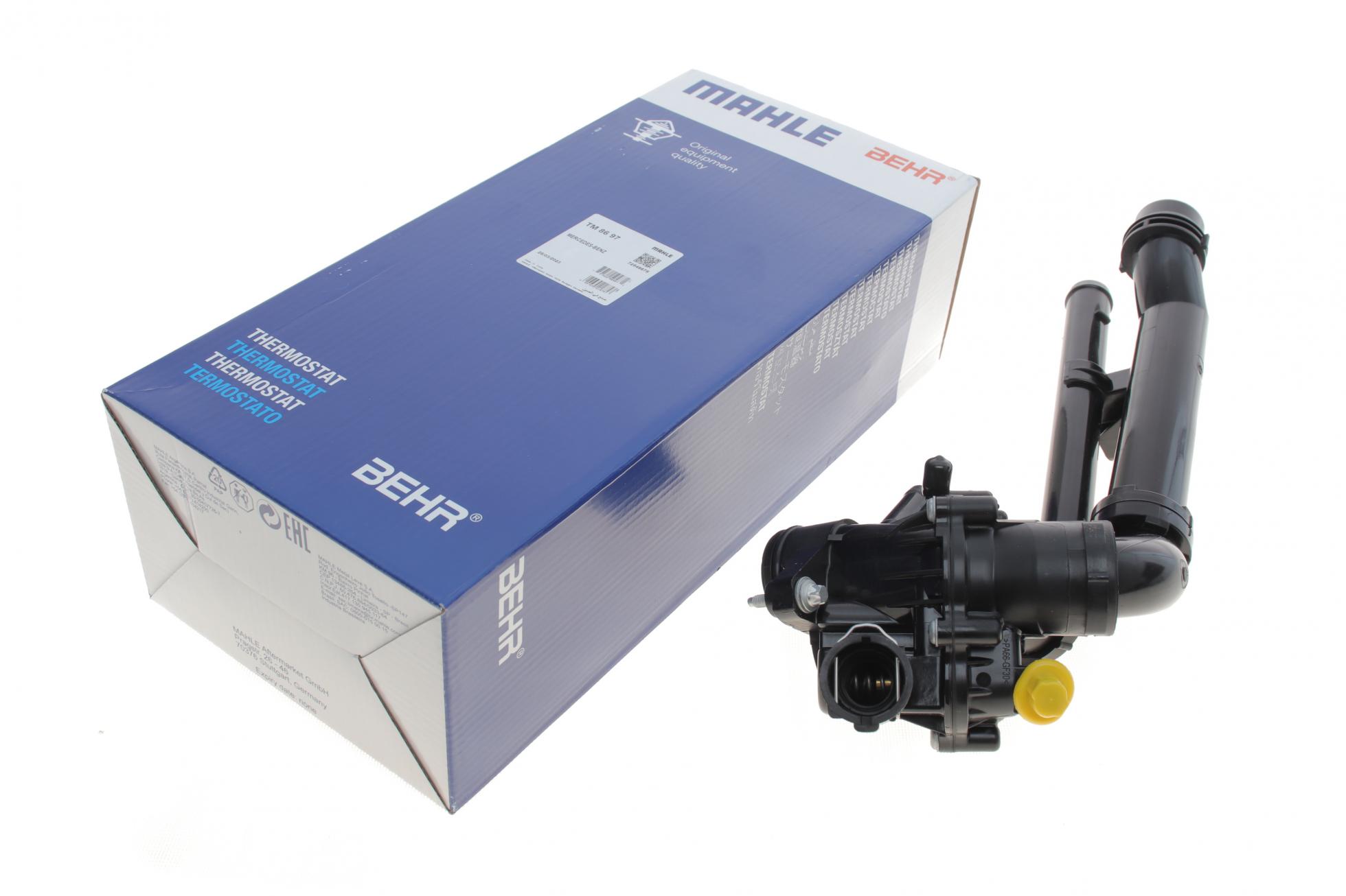 TM8697 MAHLE