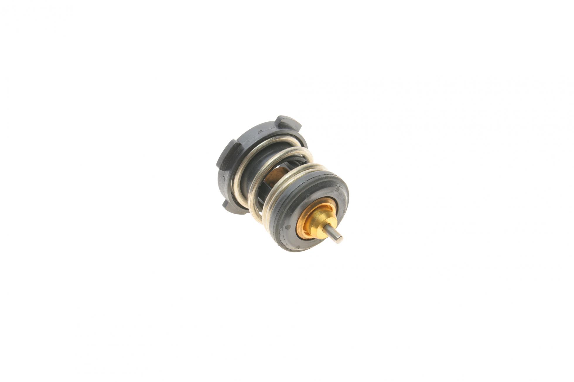 TX25287 MAHLE