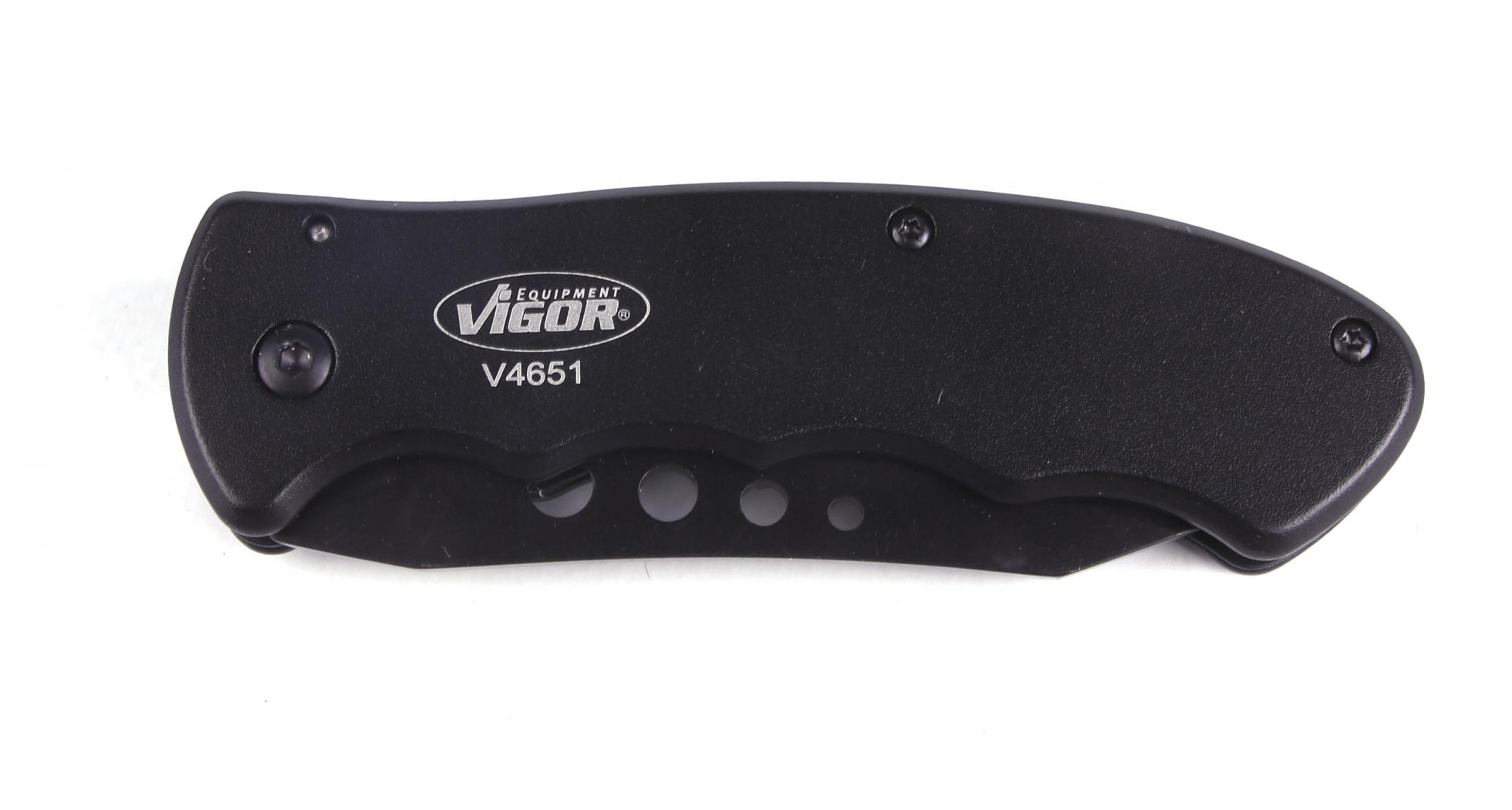 V4651 VIGOR