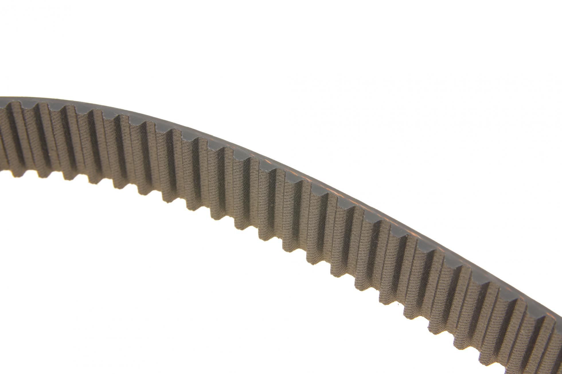 VKMC019031 SKF