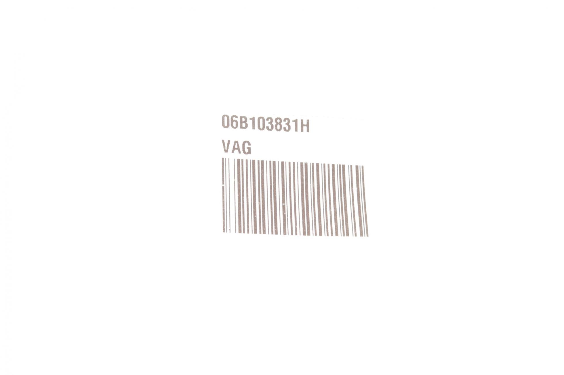 06B103831H VAG