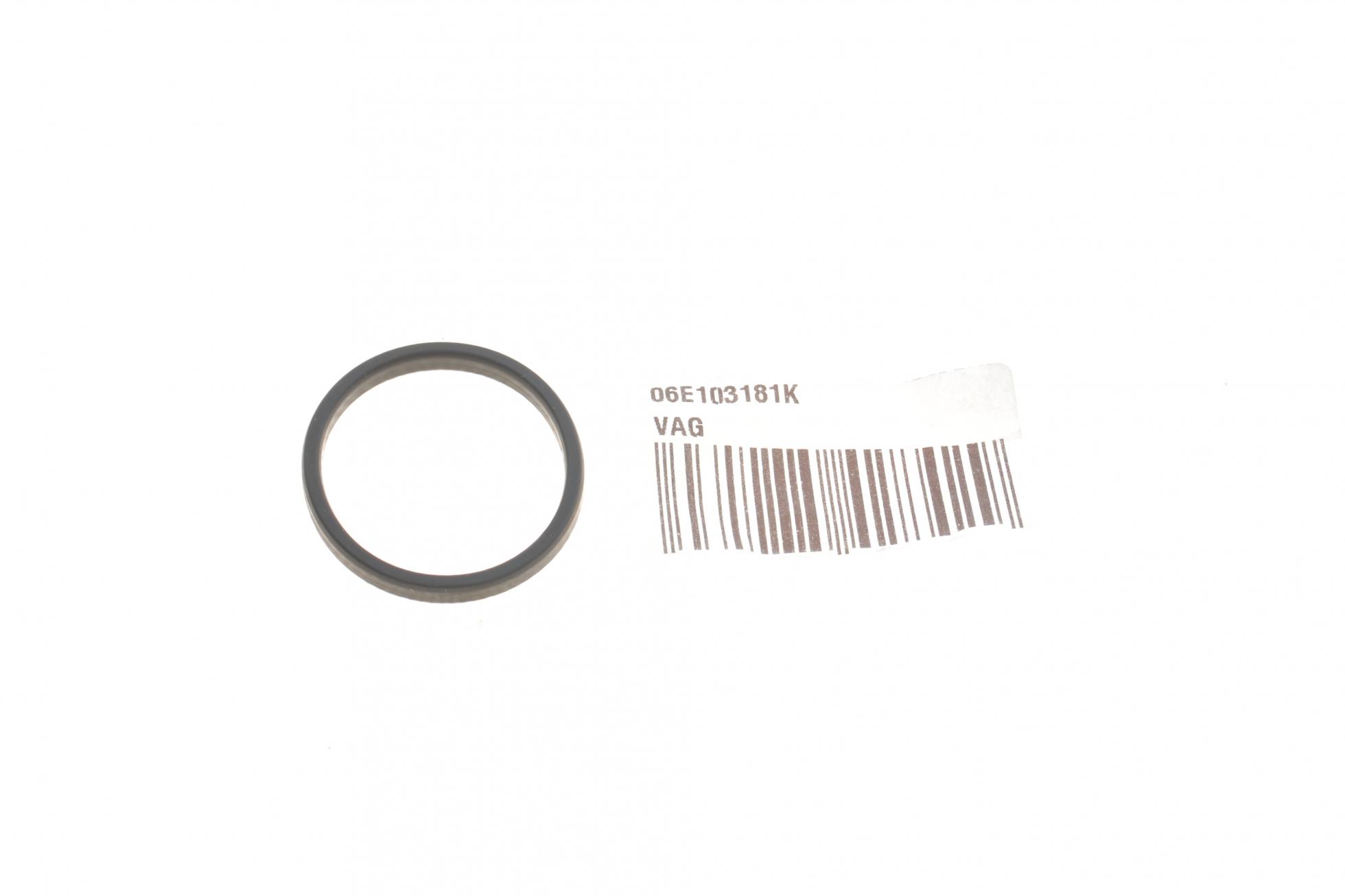 06E103181K VAG