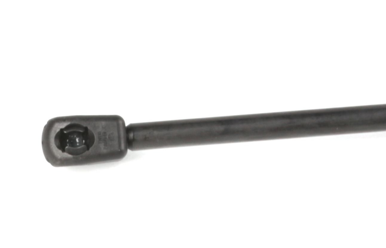 171381 STABILUS