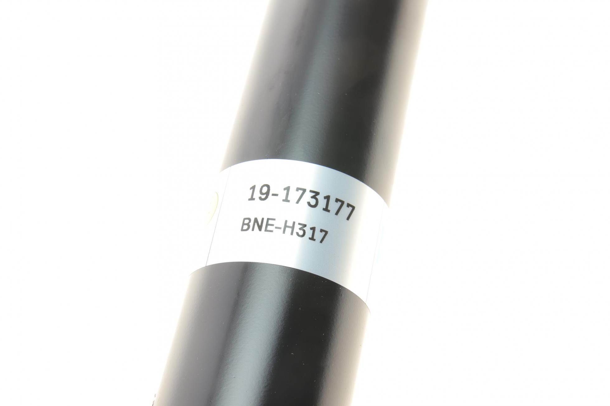 19173177 BILSTEIN
