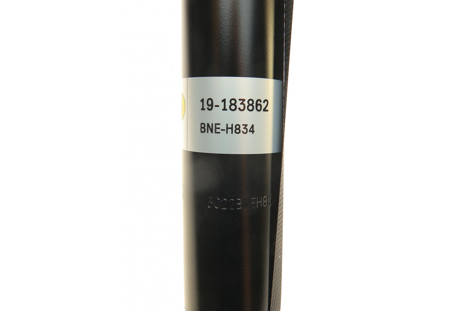 19183862 BILSTEIN