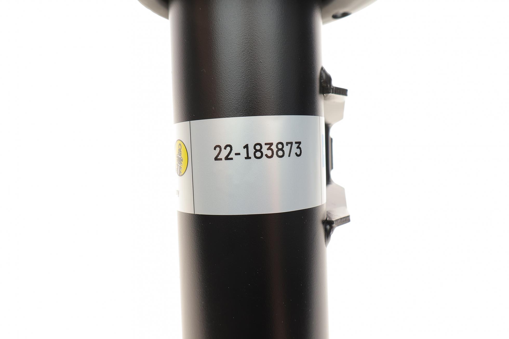 22183873 BILSTEIN