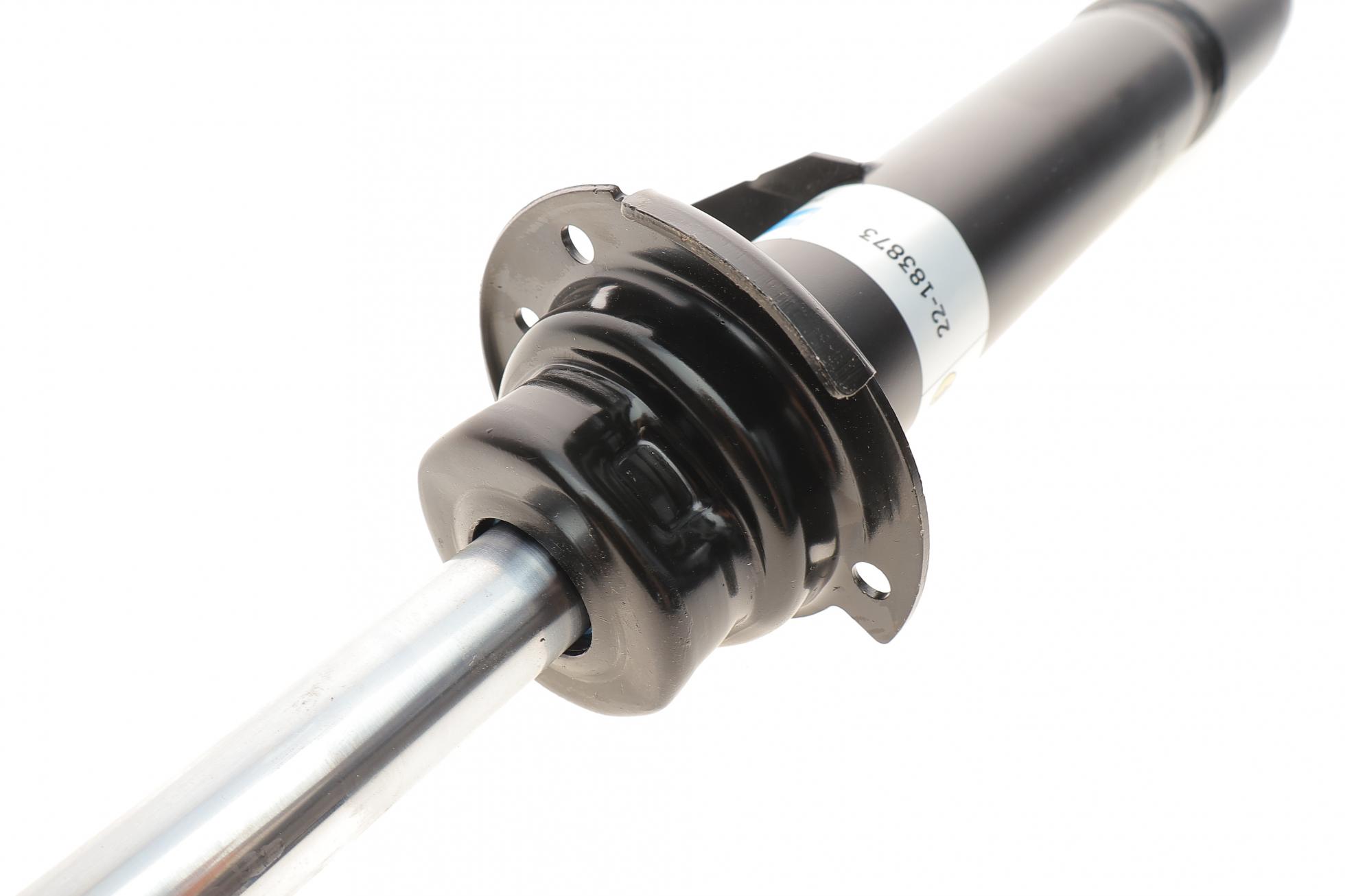 22183873 BILSTEIN