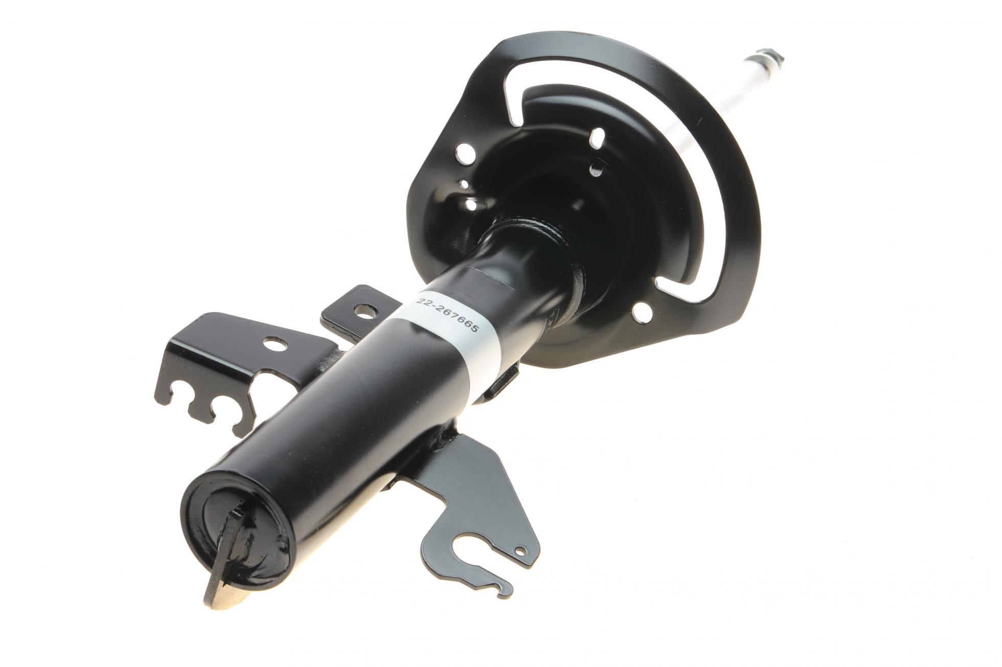 22267665 BILSTEIN