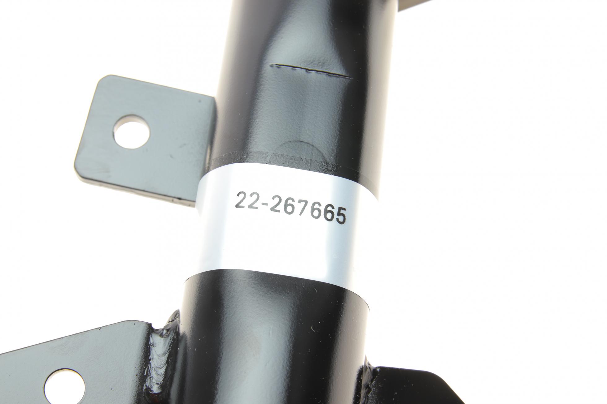 22267665 BILSTEIN