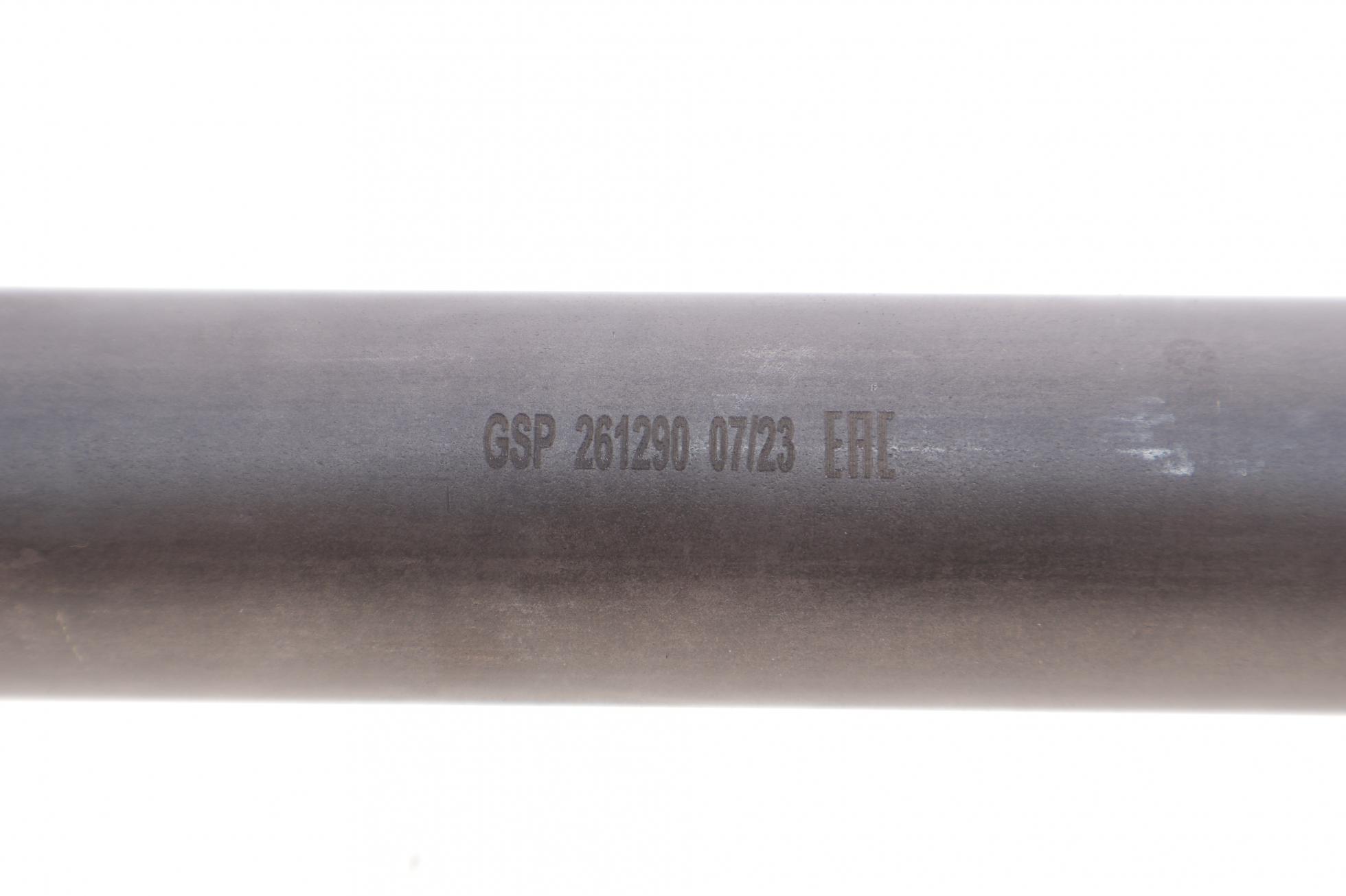 261290 GSP
