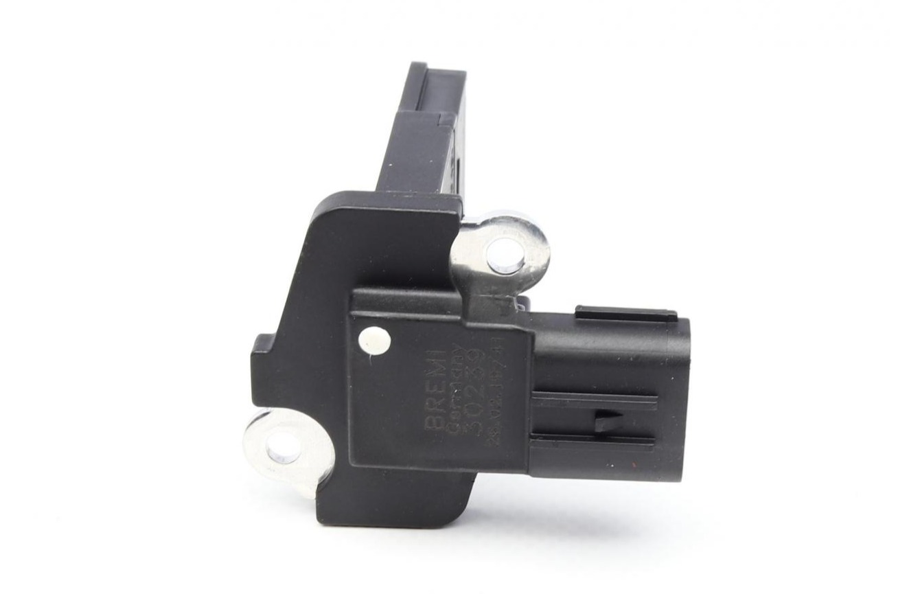 30239 BREMI
