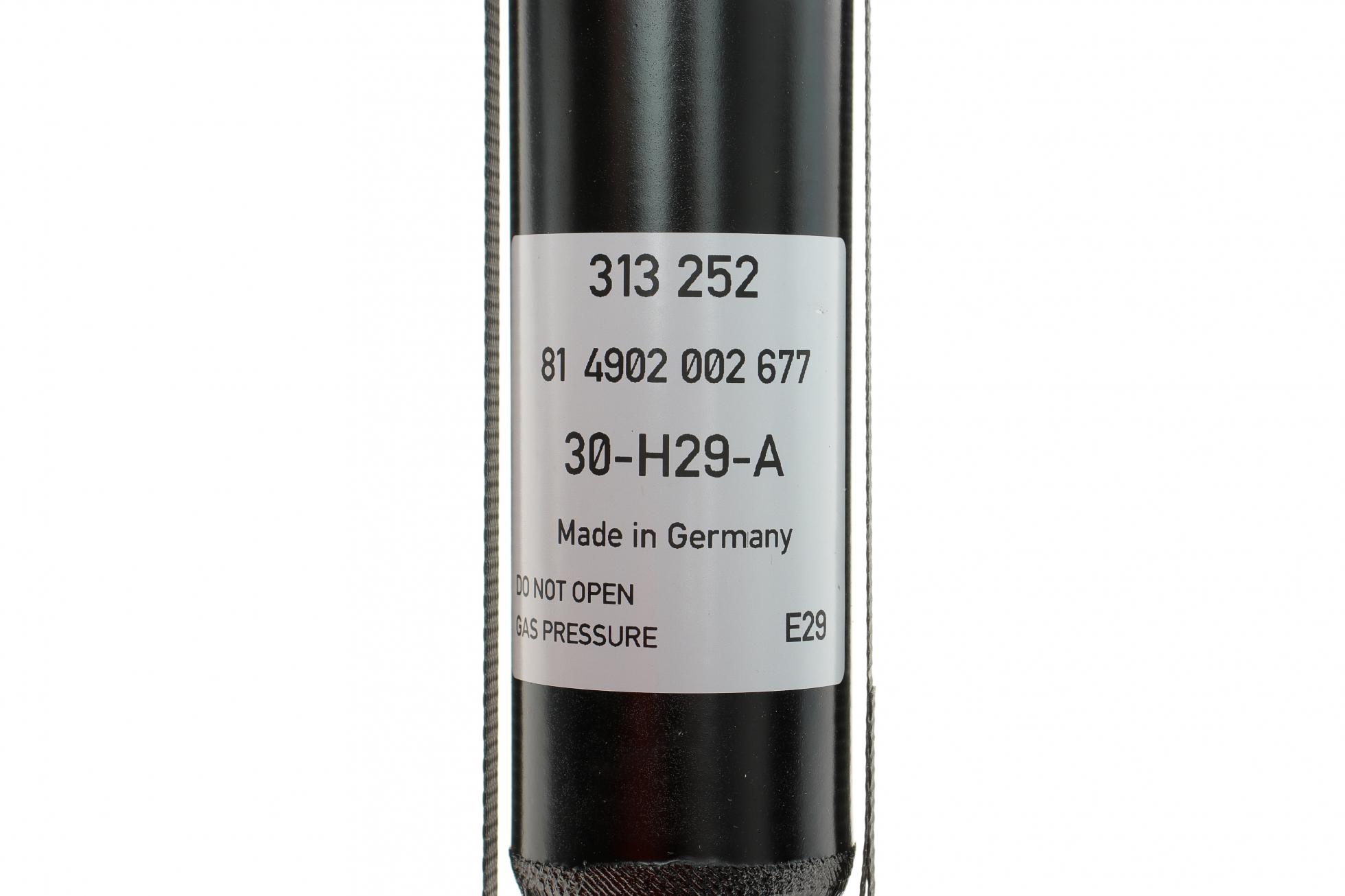 313252 SACHS