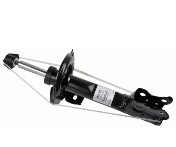 315293 SACHS