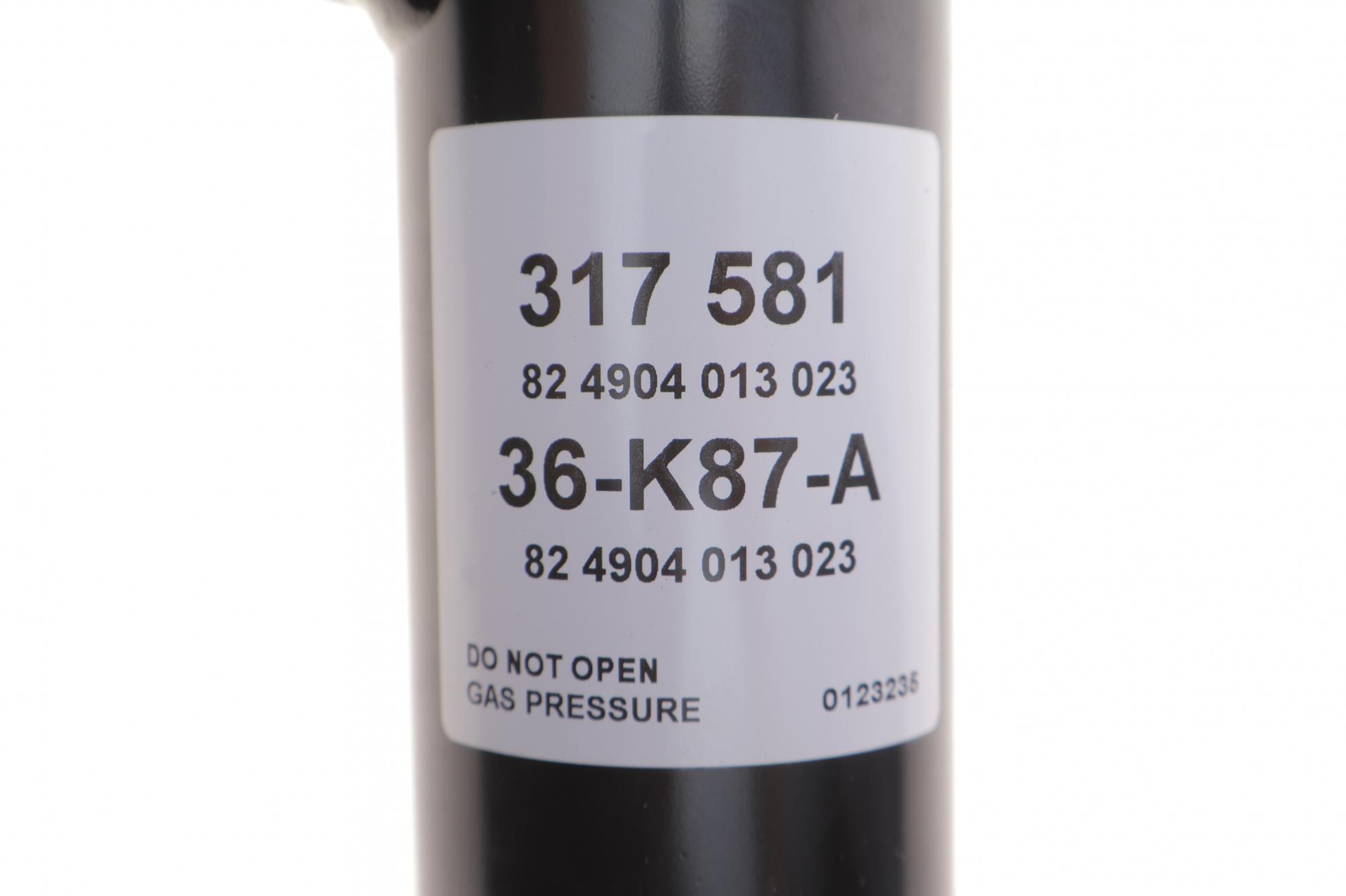 317581 SACHS