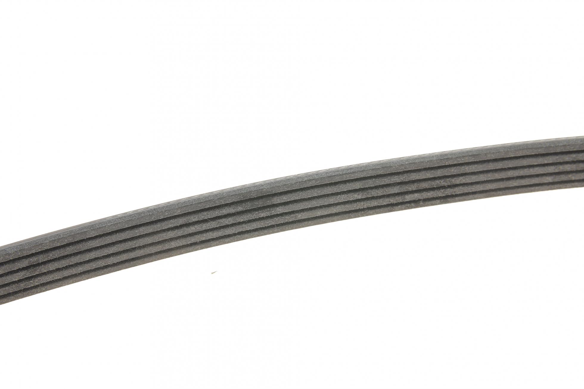 5PK930 CONTITECH