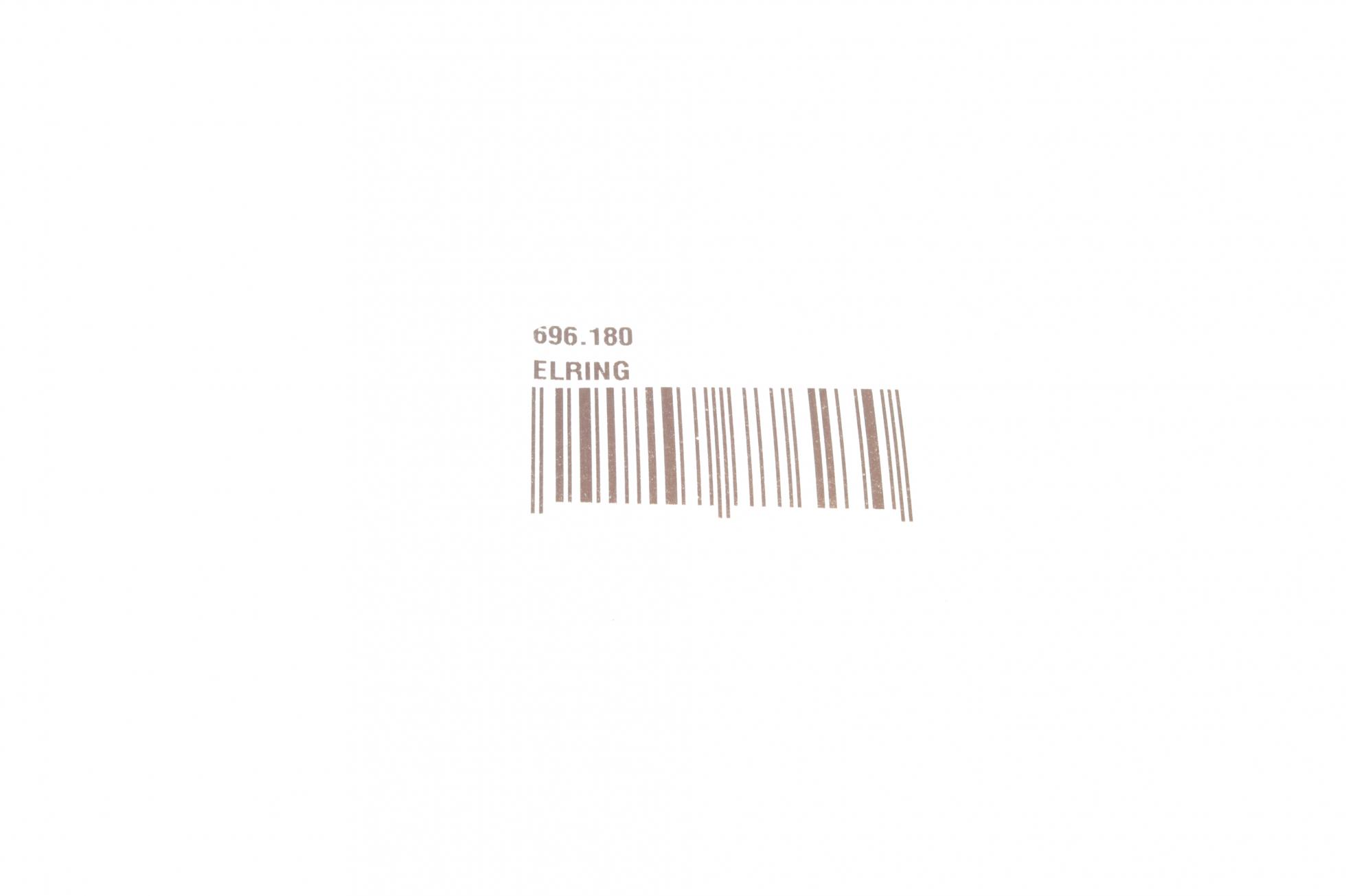 696180 ELRING
