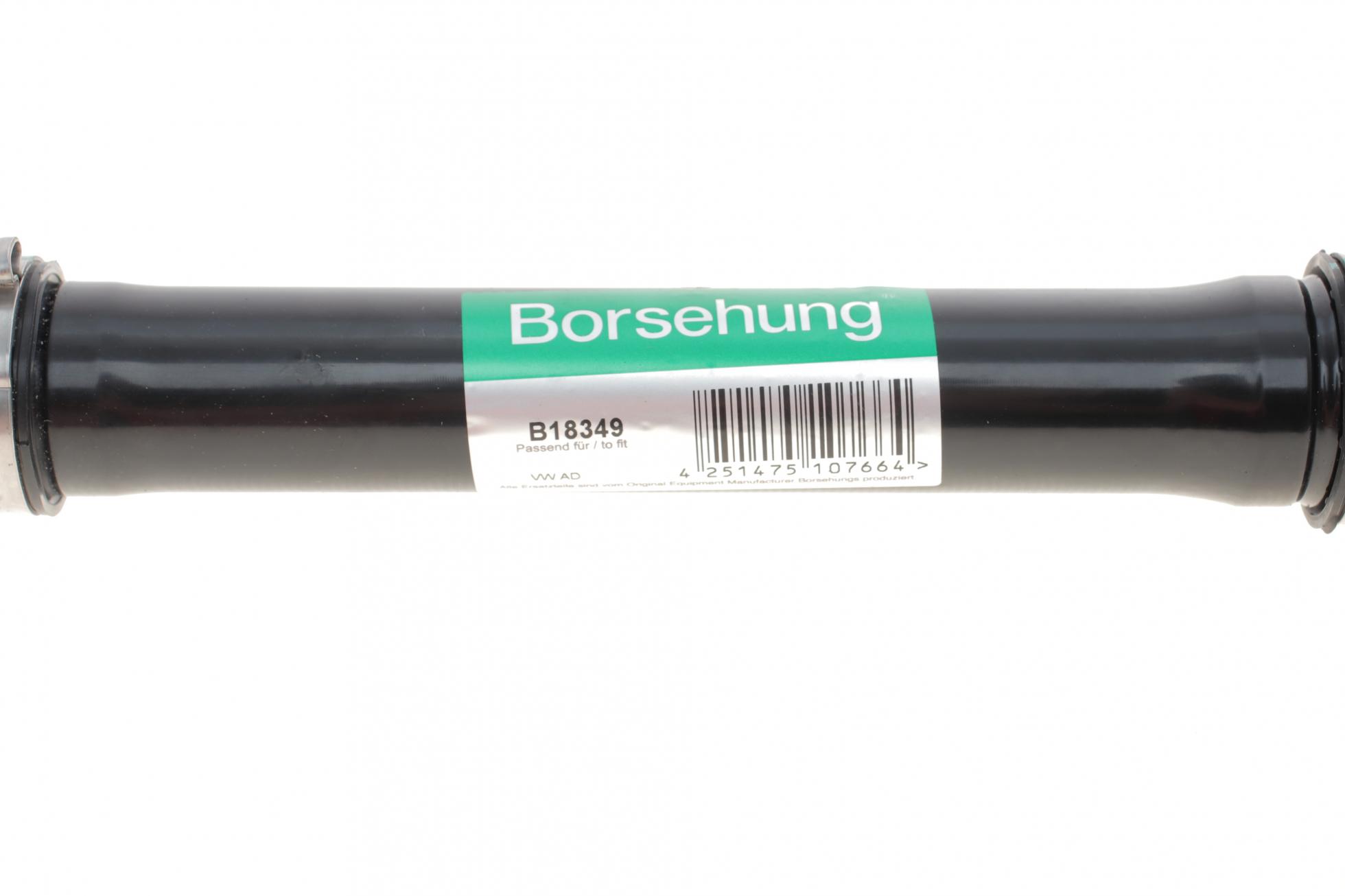 B18349 BORSEHUNG