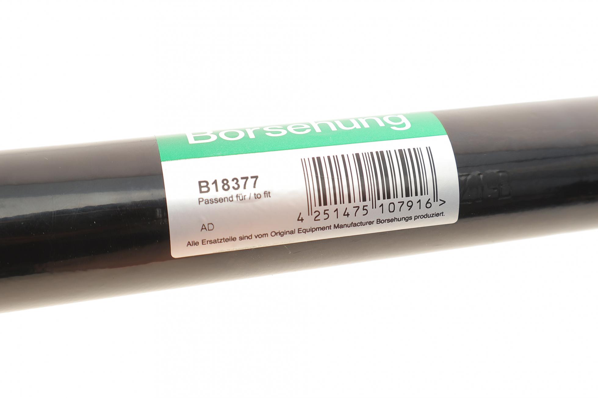 B18377 BORSEHUNG