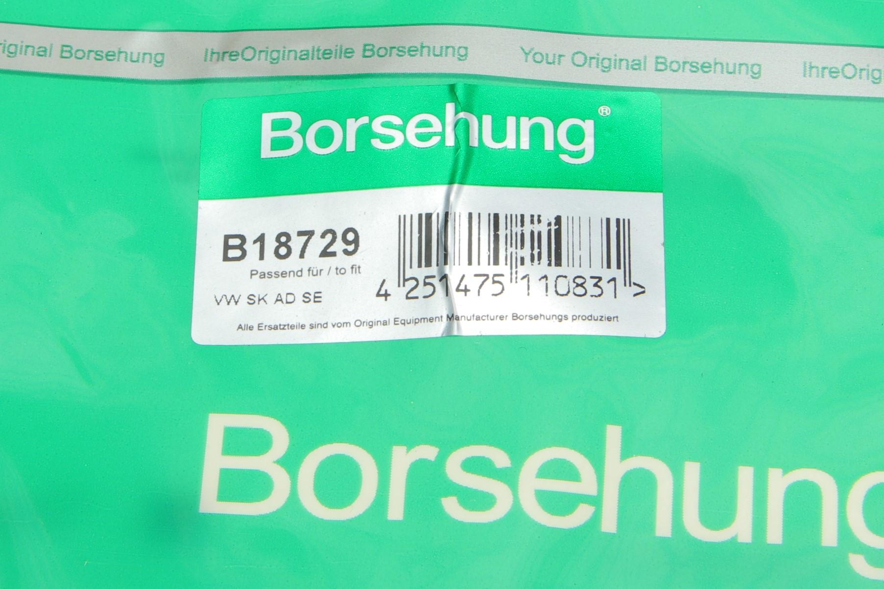 B18729 BORSEHUNG