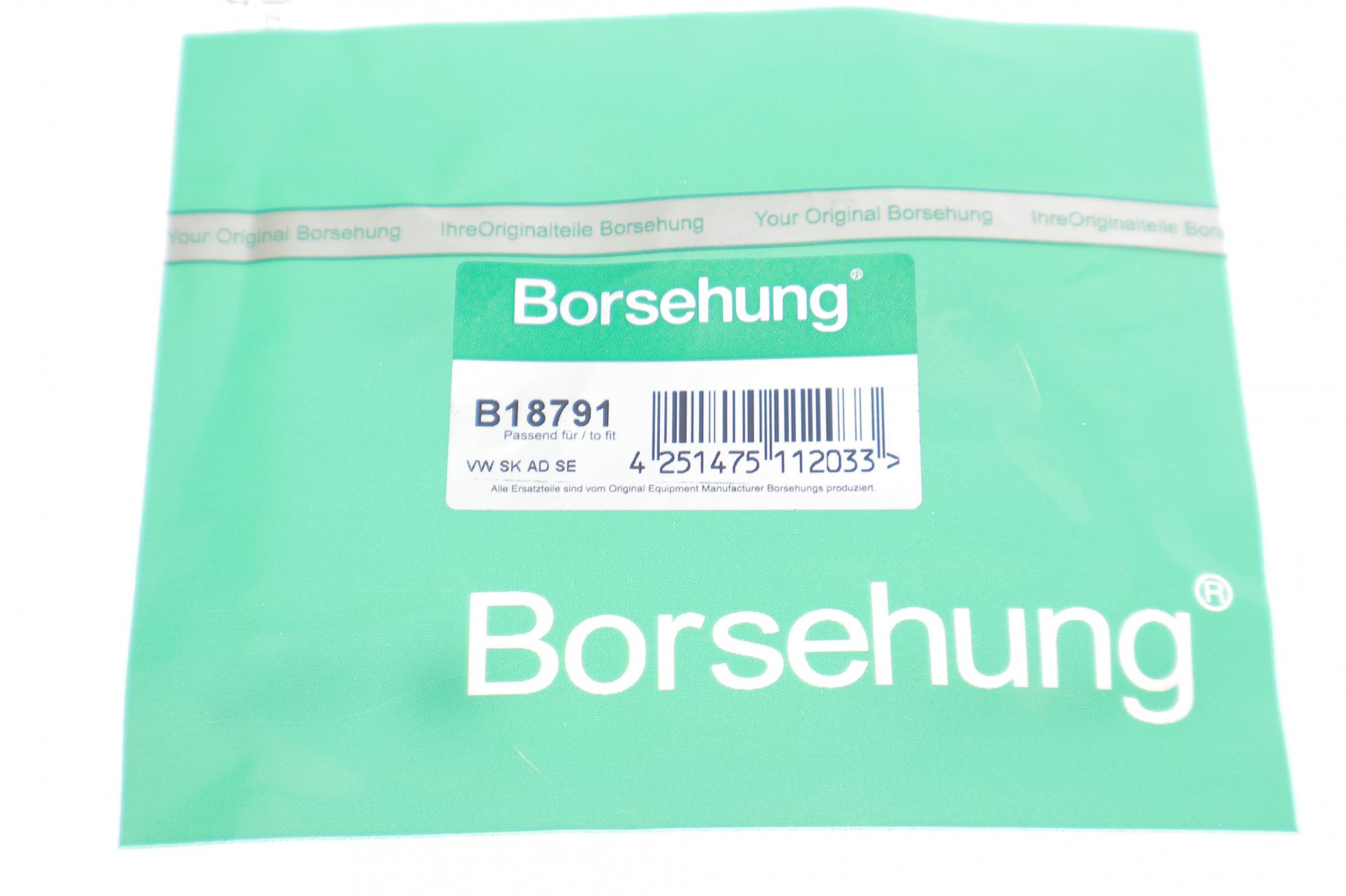 B18791 BORSEHUNG