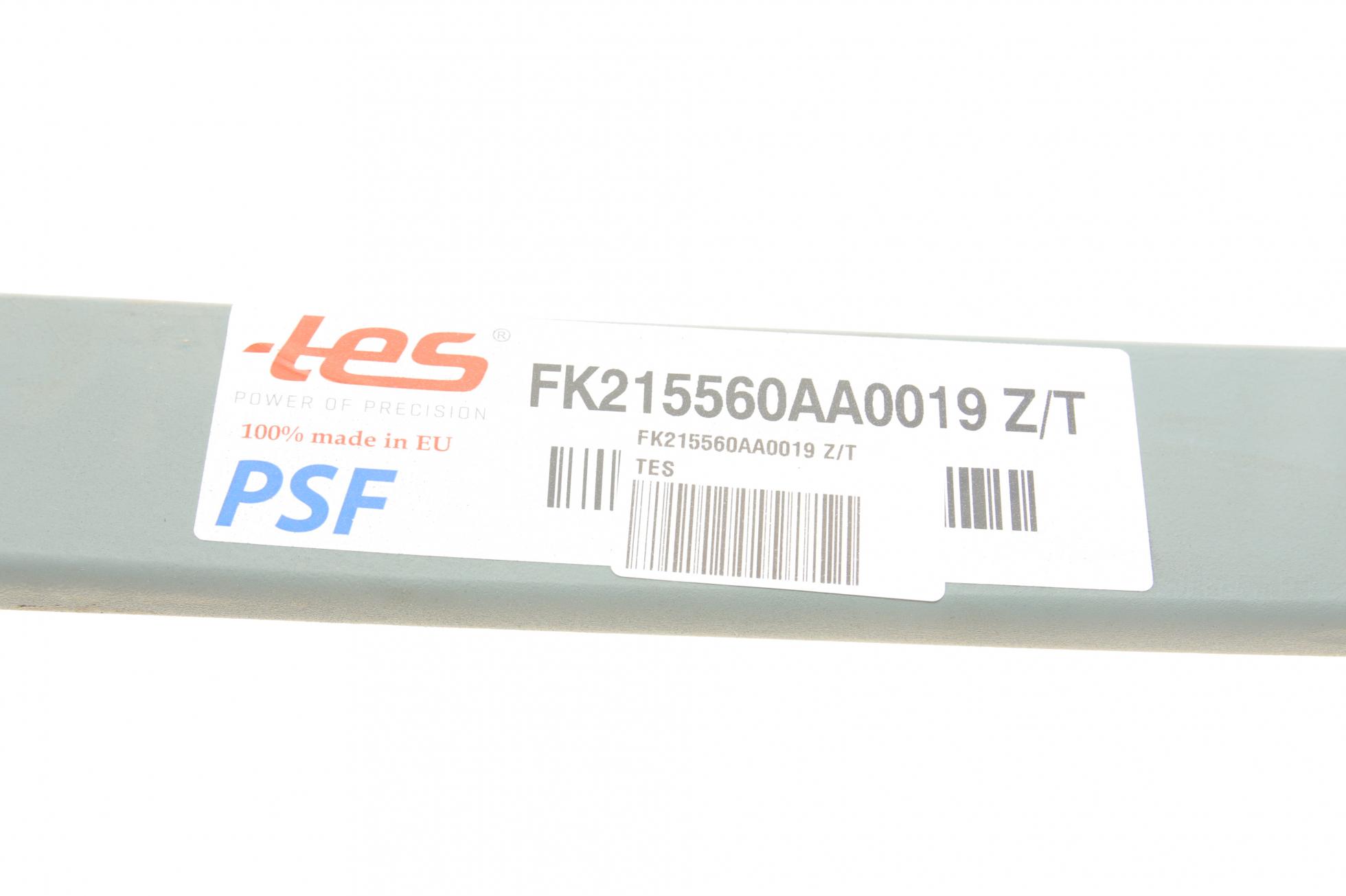 FK215560AA0019ZT TES