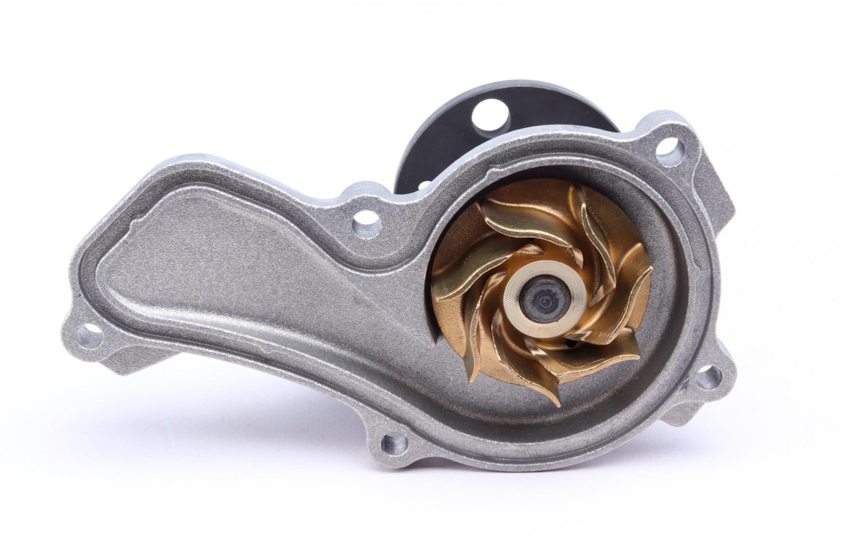 P7843 HEPU