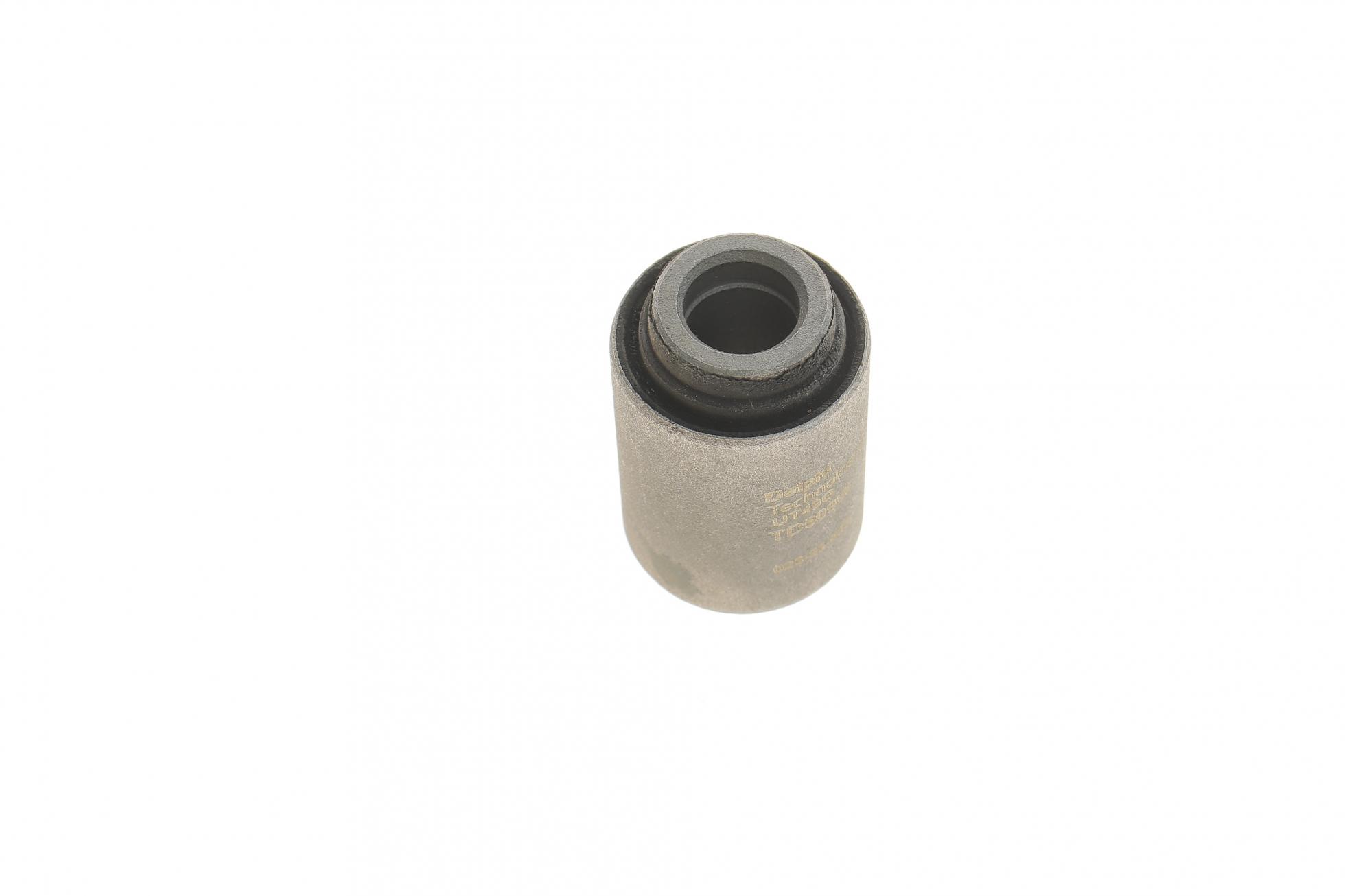 TD509W DELPHI