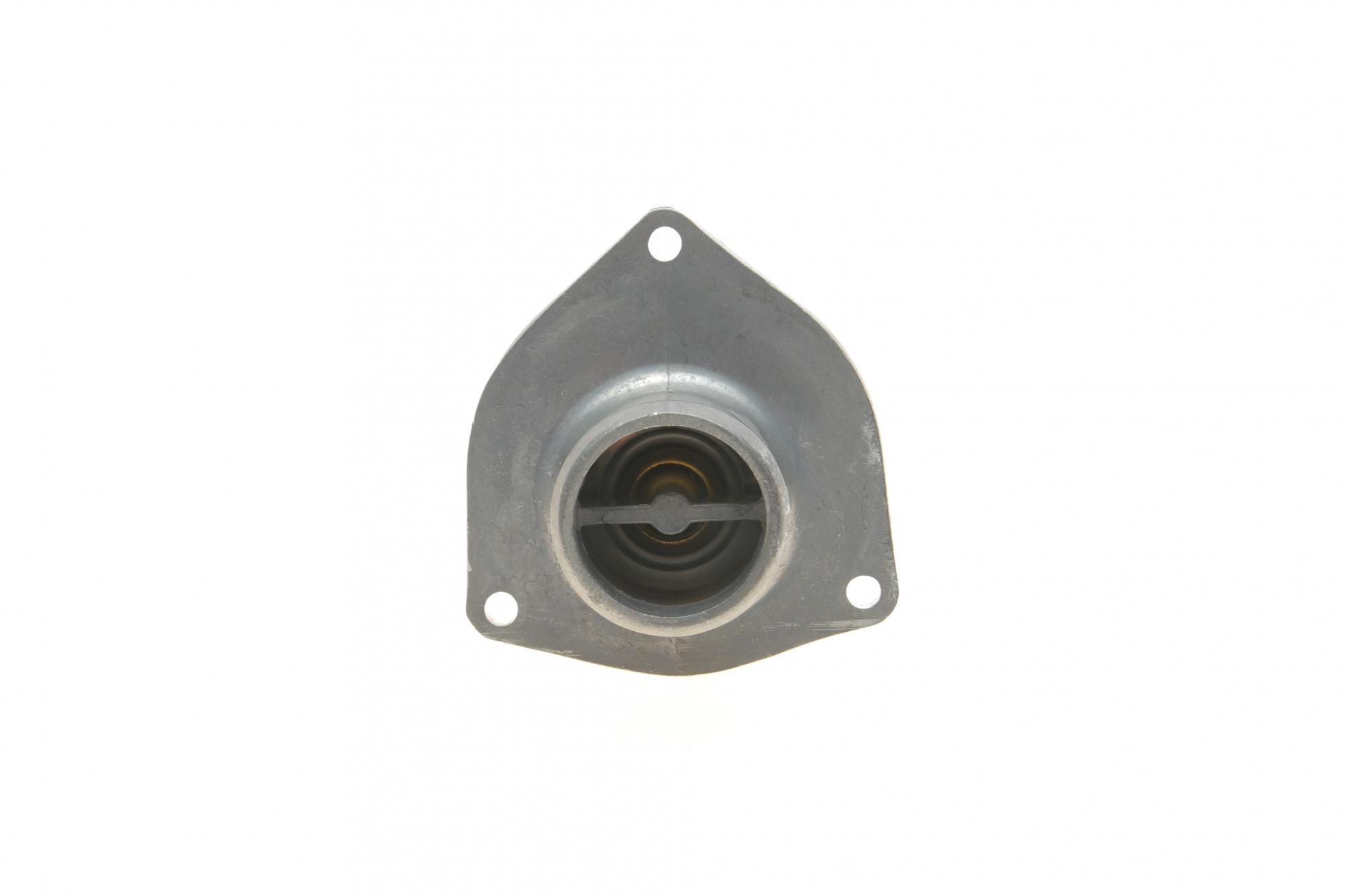 TI4880D MAHLE