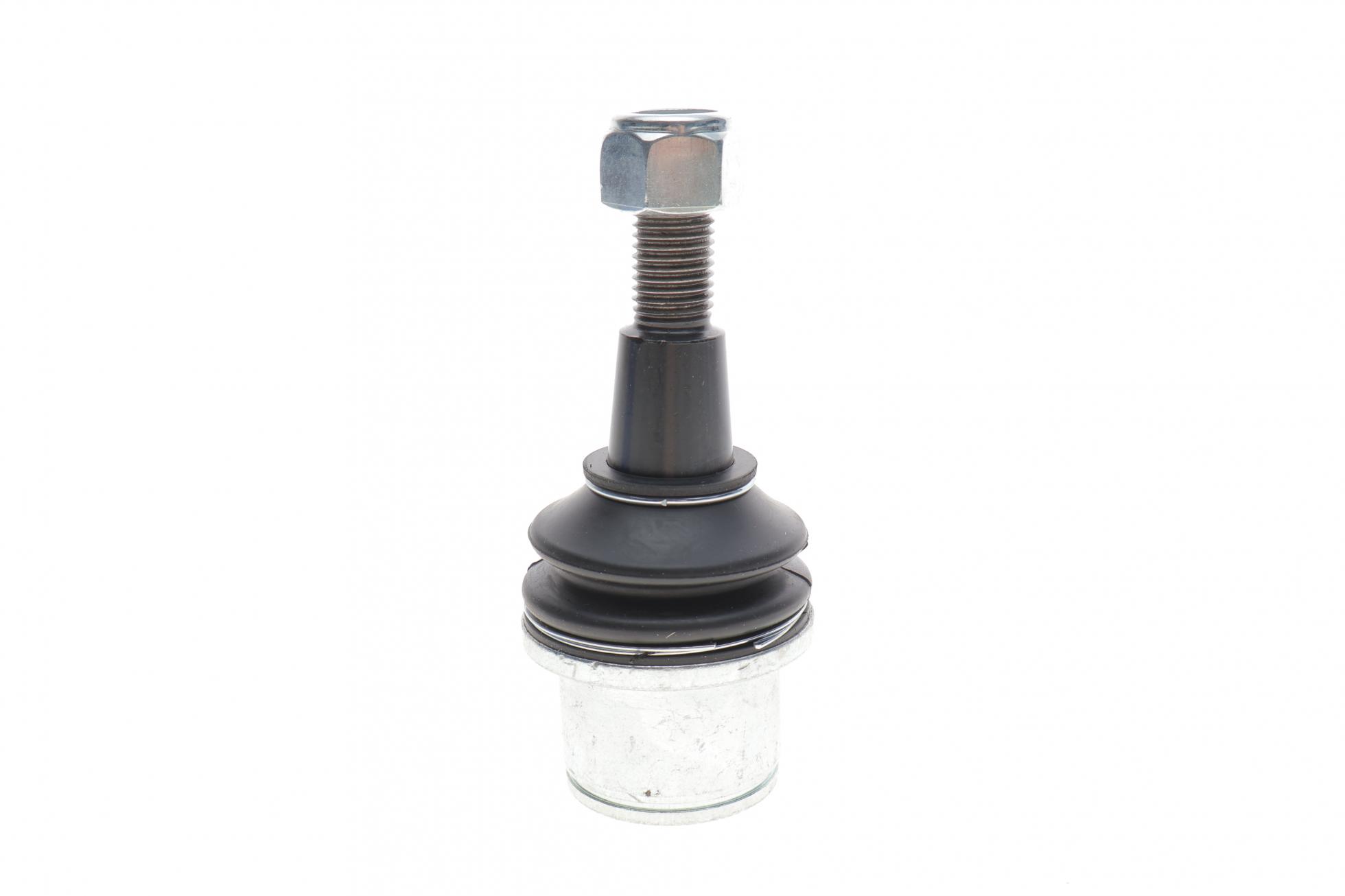 VKDS317505 SKF