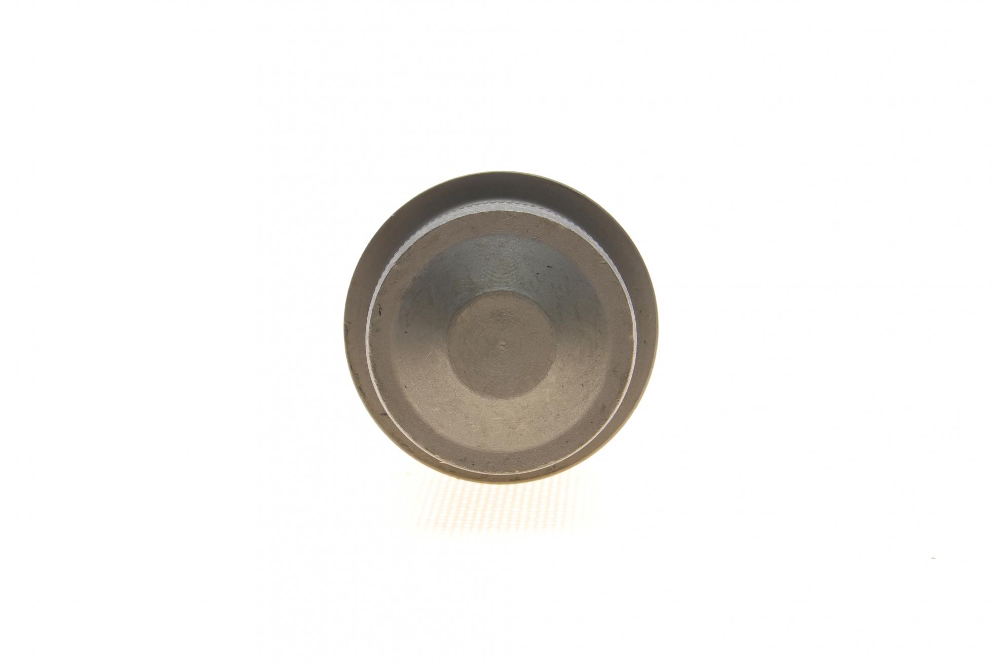 VKDS318004 SKF