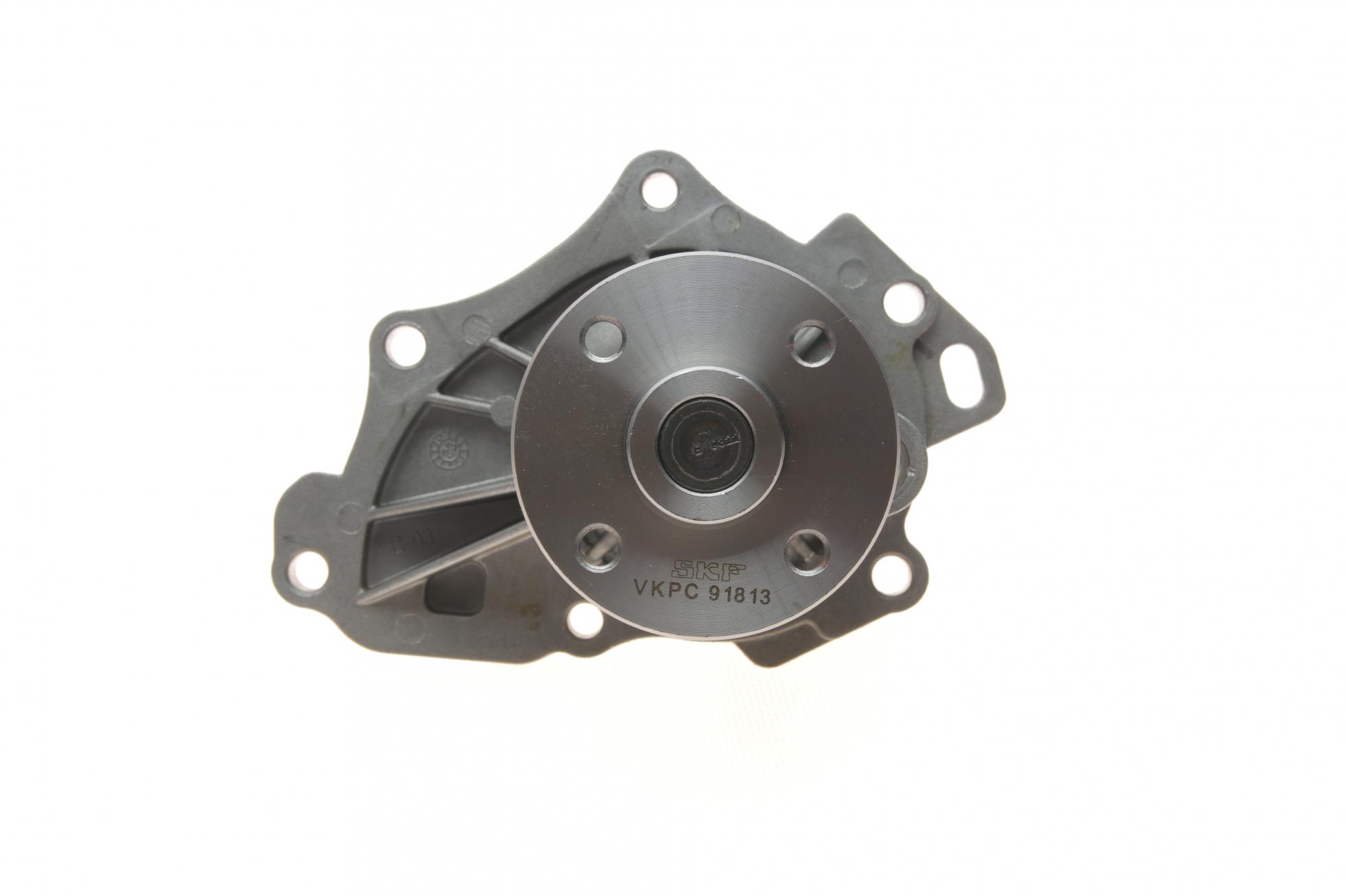 VKPC91813 SKF