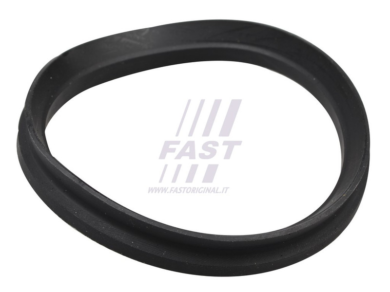 FT12192 FAST
