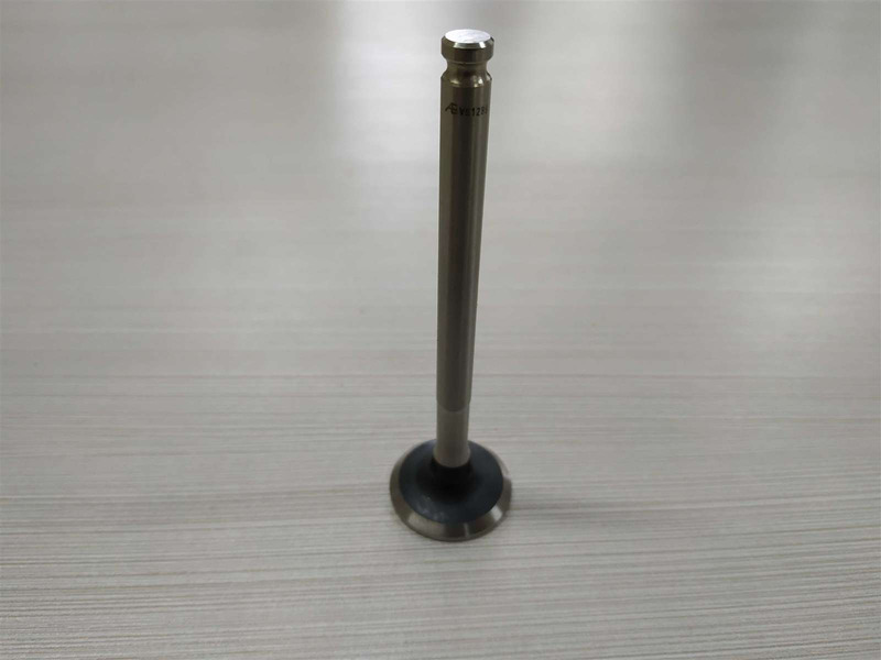 Клапан випускний Fiat Panda 03-12, Fiat Palio 96-20, Fiat Doblo 00-09