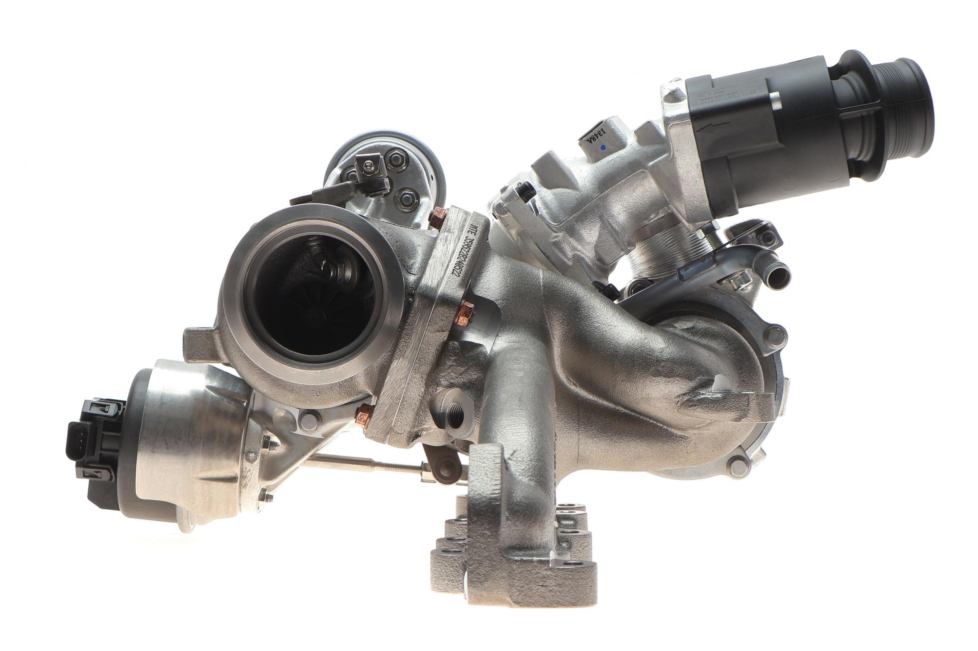 10009880113 BorgWarner
