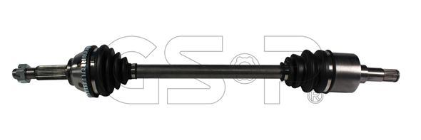 218036 GSP