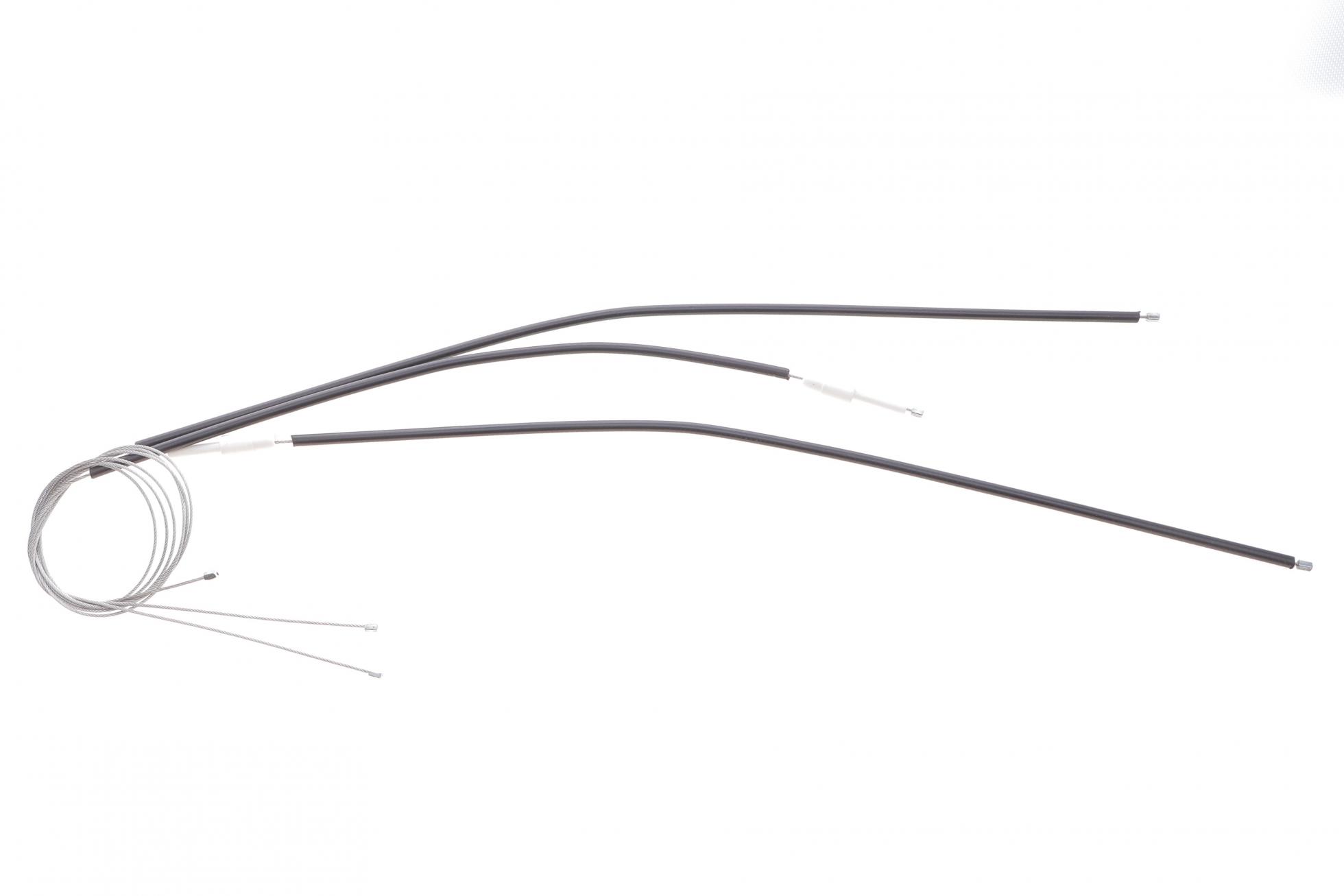RWS3695 ROTWEISS