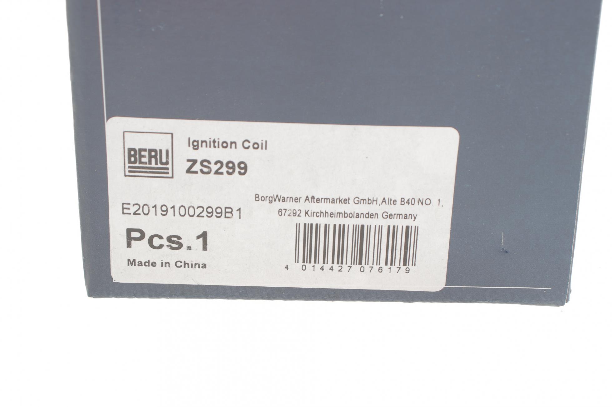 ZS299 BERU