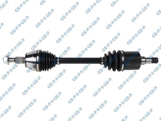 218295 GSP