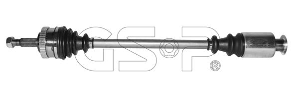 250527 GSP