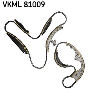 VKML81009 SKF