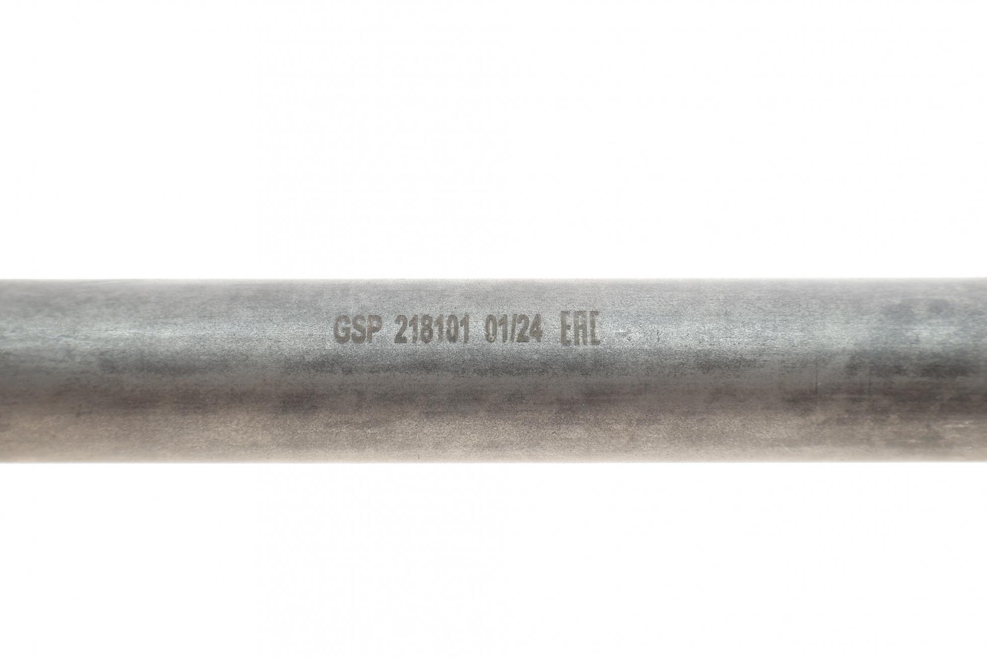 218101 GSP