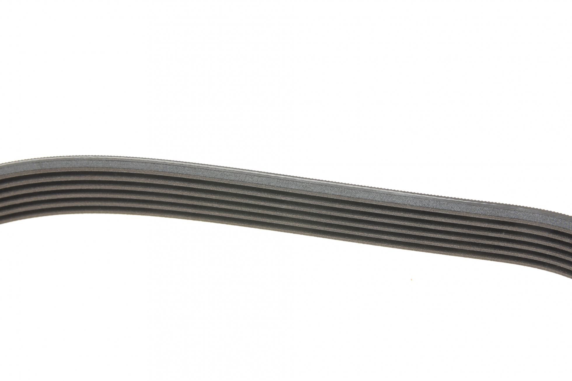 6PK1698K1 CONTITECH