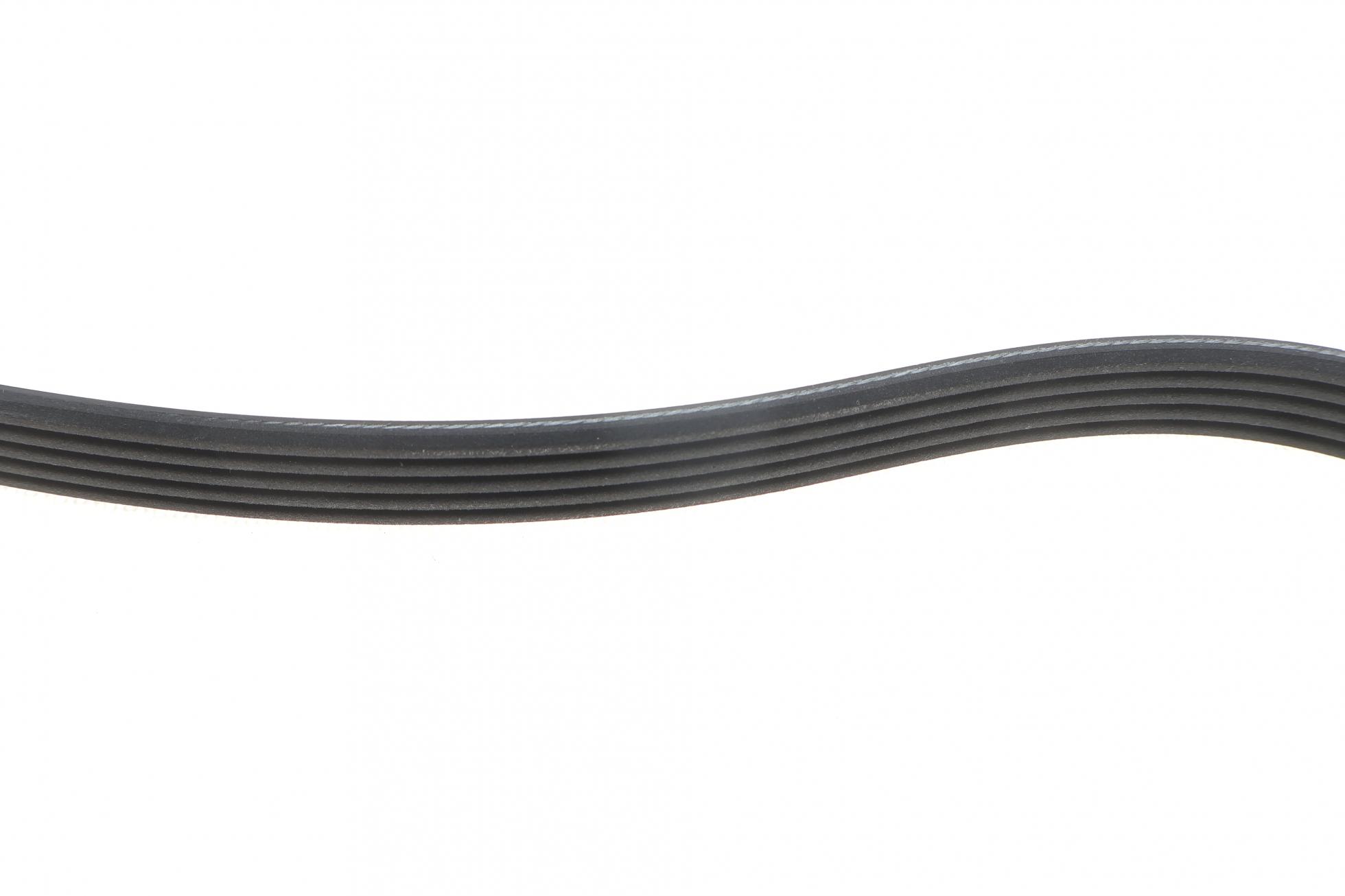 5PK1680 DAYCO