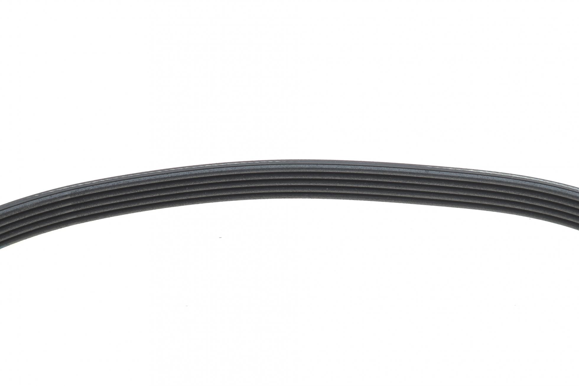5PK716EE DAYCO