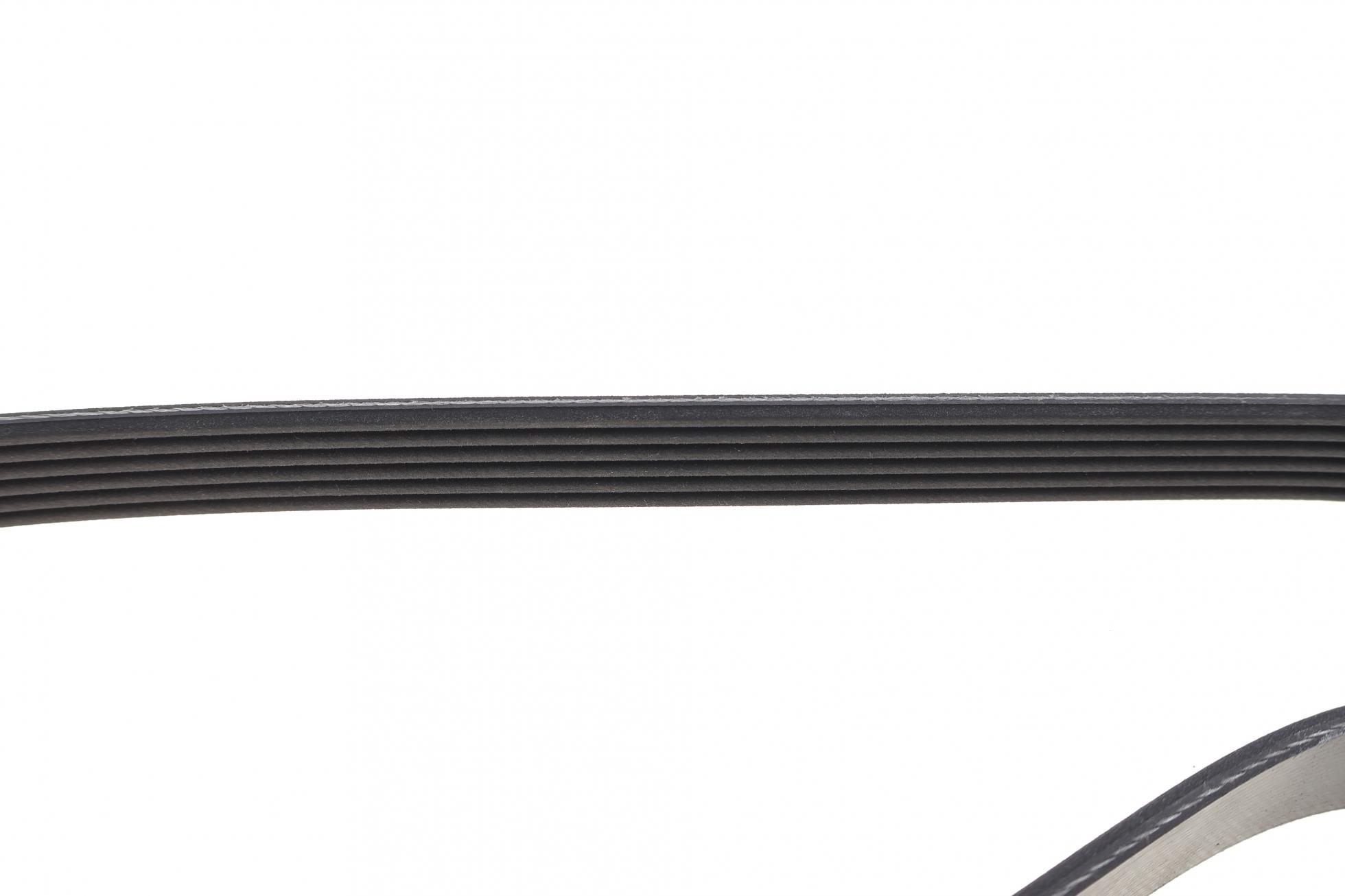 6PK2175 DAYCO