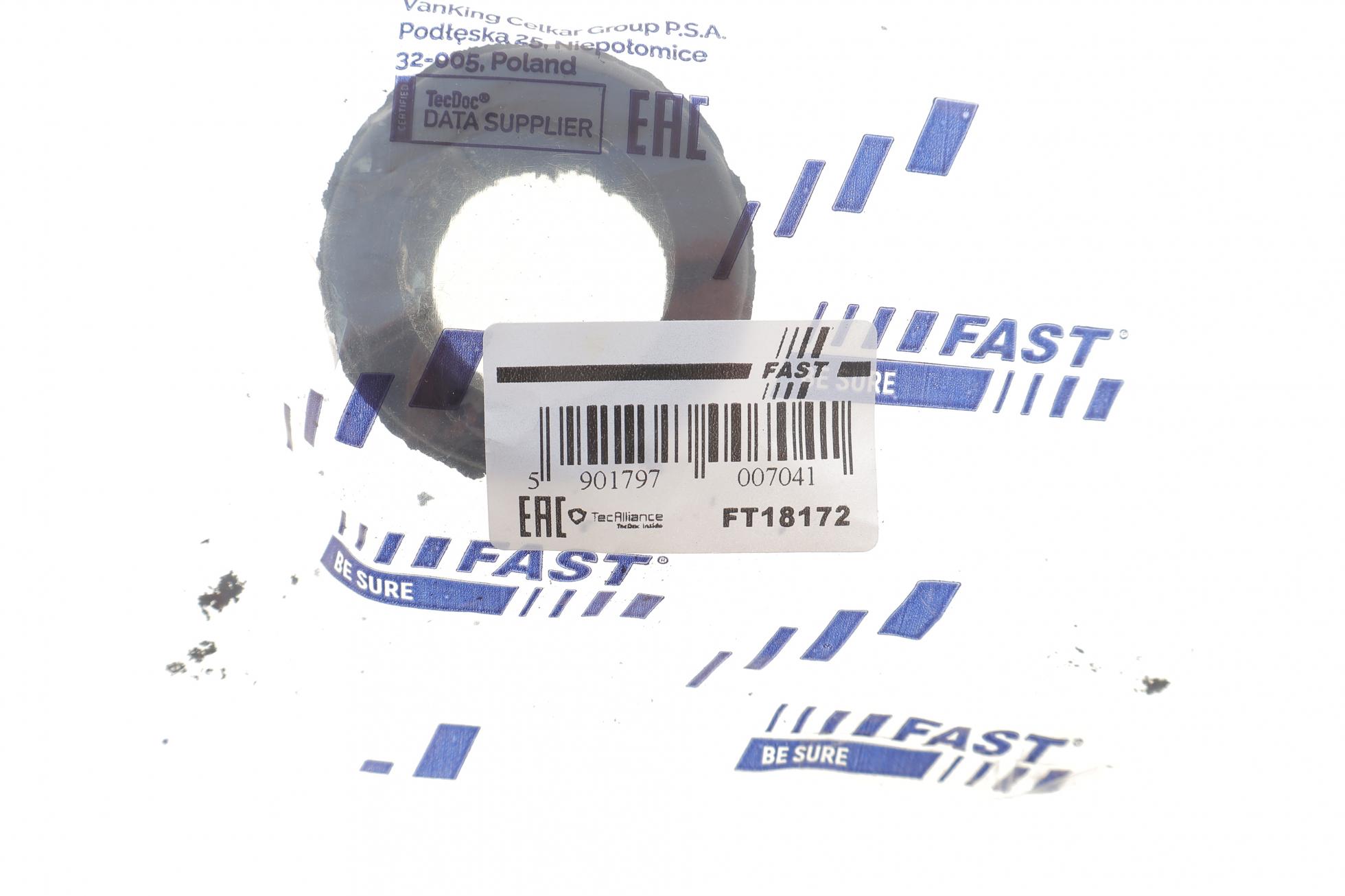 FT18172 FAST