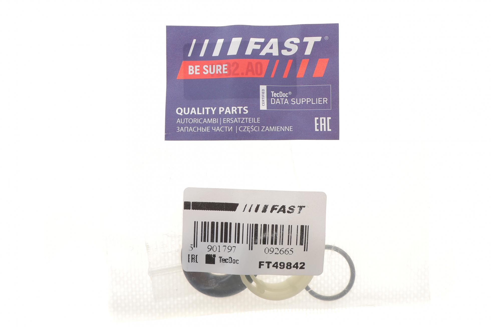 FT49842 FAST
